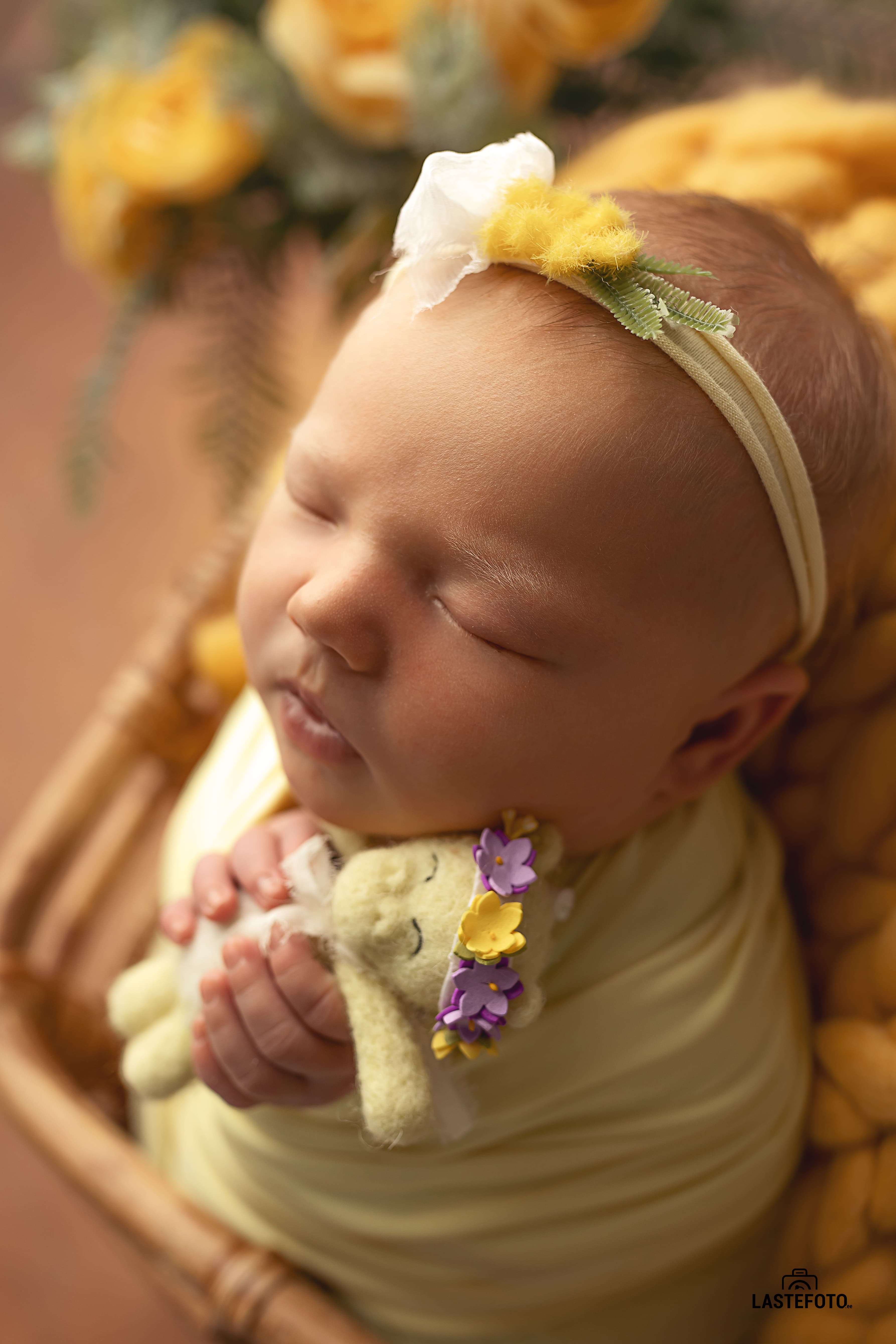 Fine Art Newborn Photography Props and Accessories