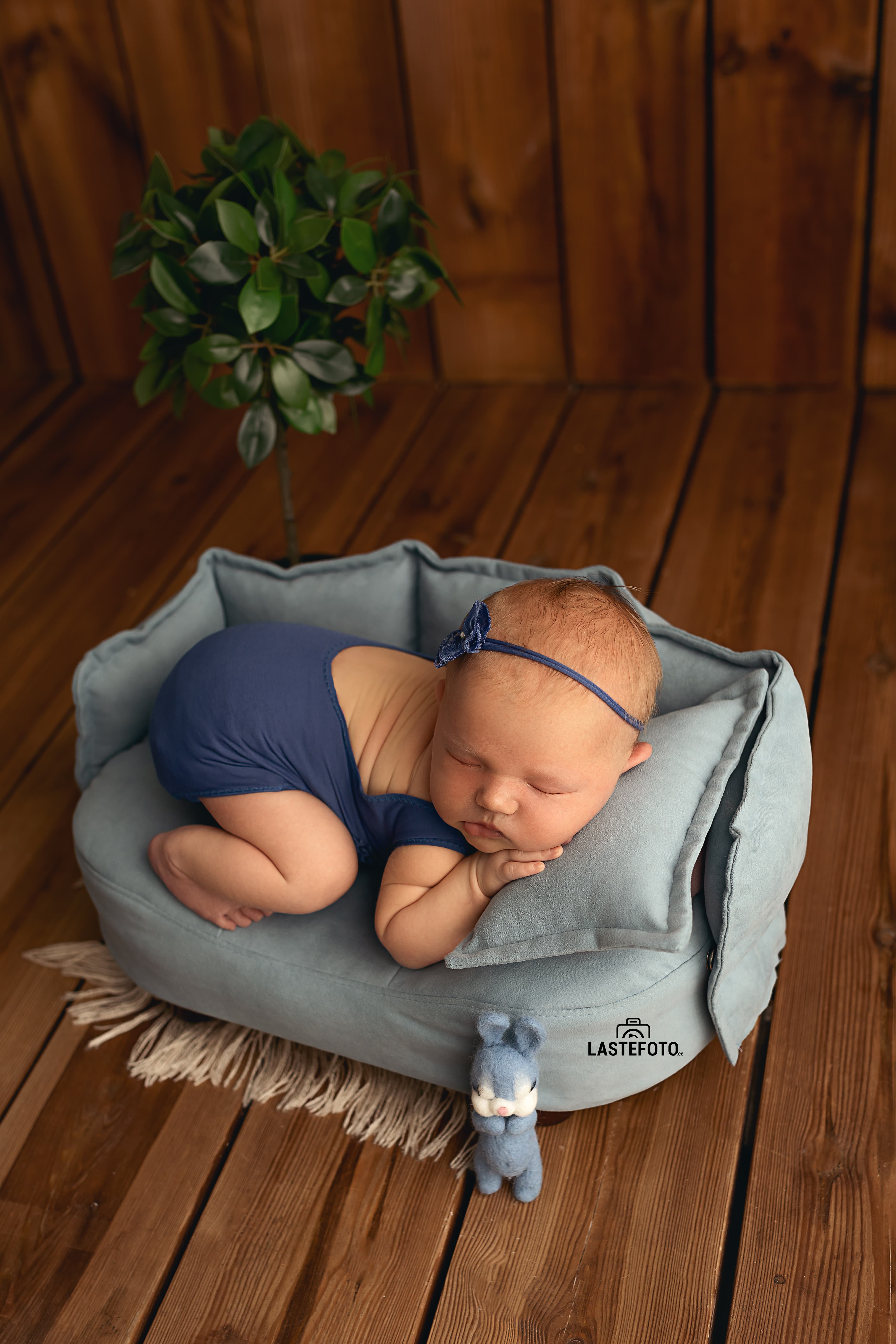 Fine Art Newborn Photography Props and Accessories