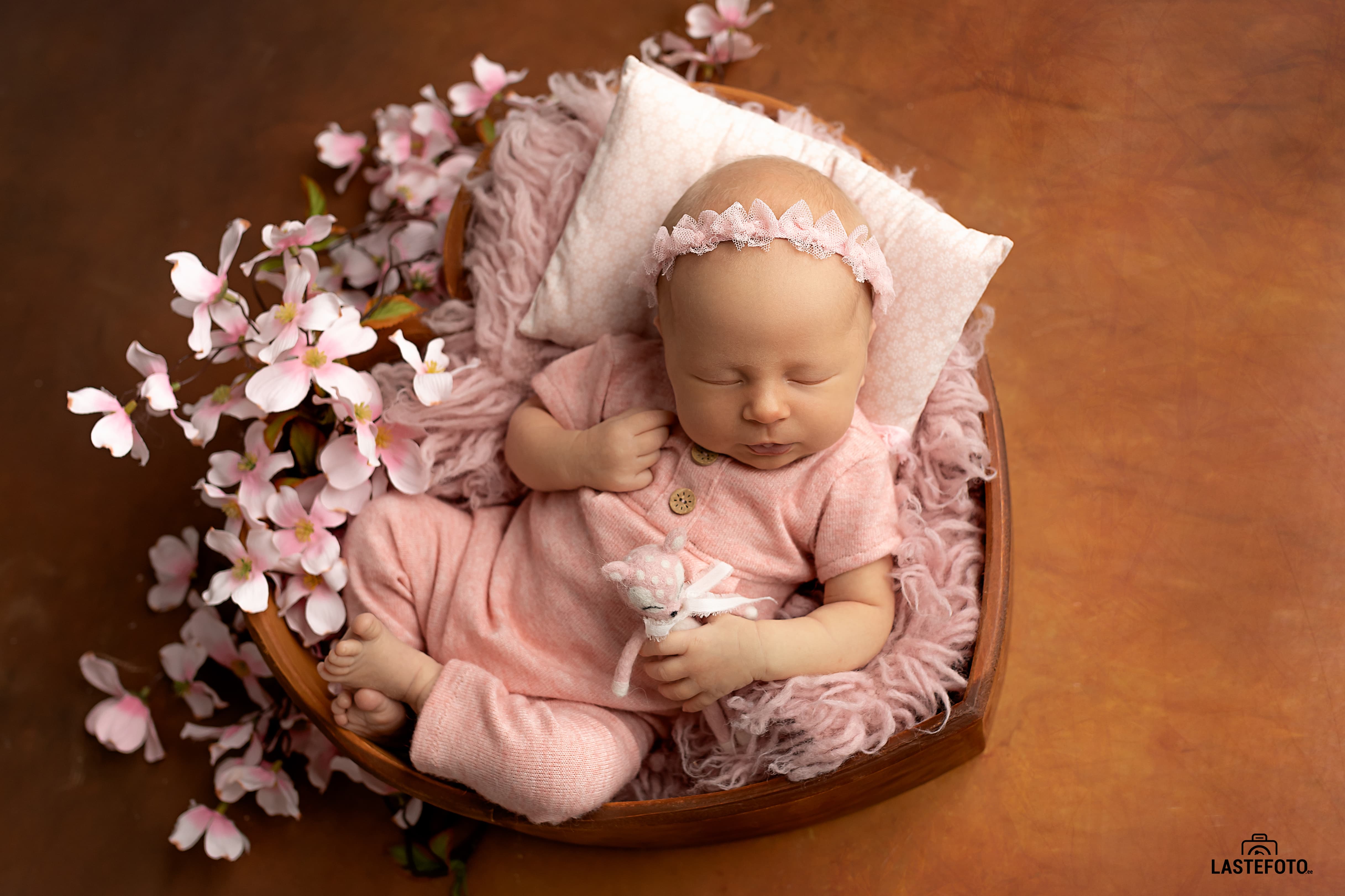 Newborn photo shoot in the studio