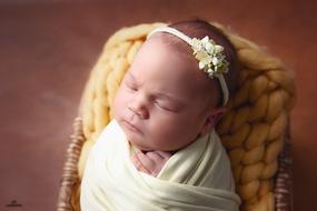 Newborn photo shoot